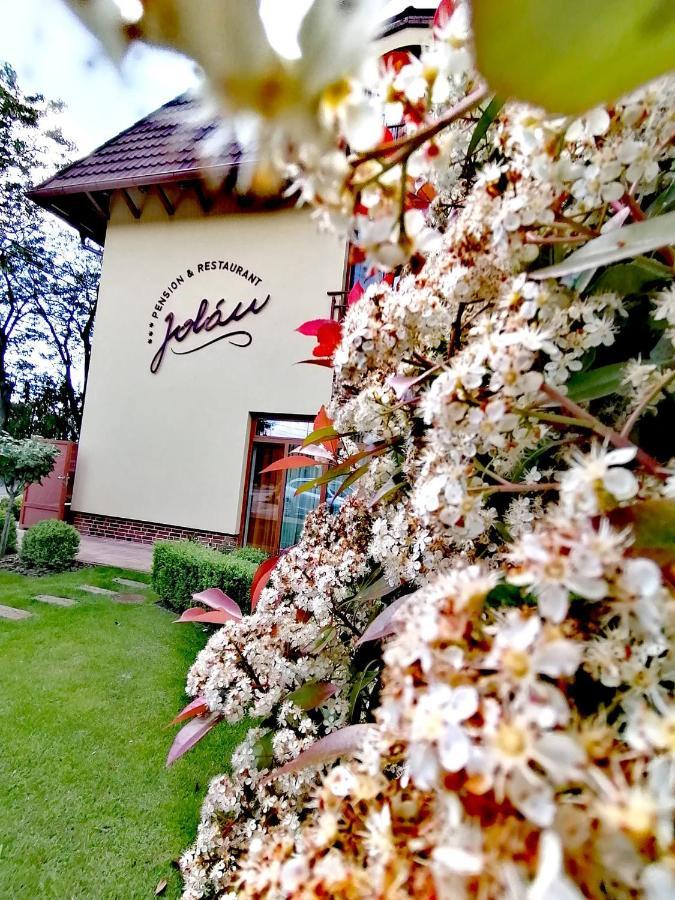 Jolán Pension&Restaurant Cicov Bagian luar foto