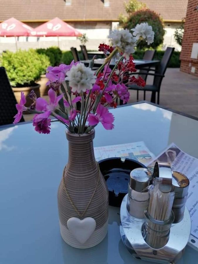 Jolán Pension&Restaurant Cicov Bagian luar foto