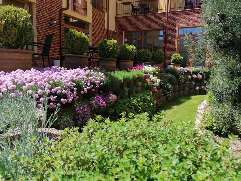 Jolán Pension&Restaurant Cicov Bagian luar foto